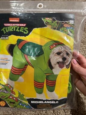 Nickelodeon Michelangelo Green and Orange Pet Costume